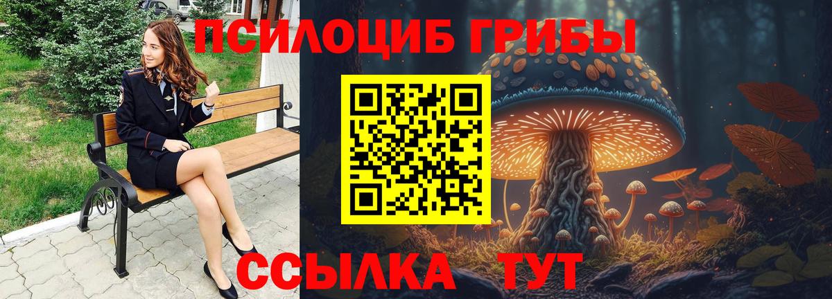 Барабинск  Псилоцибиновые грибы Psilocybe  Вход с VPN 