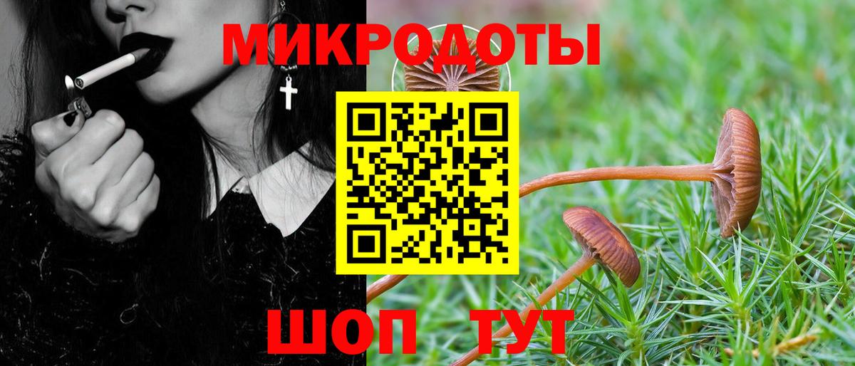 Псилоцибиновые грибы GOLDEN TEACHER Барабинск